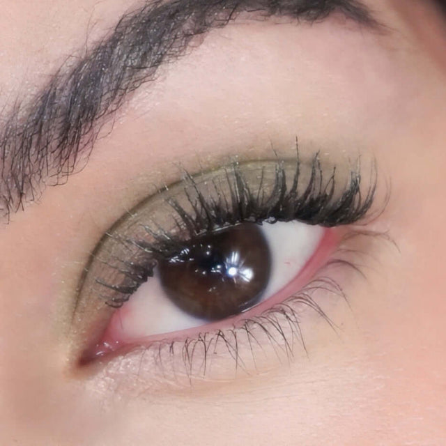 Oogschaduw Evergreen