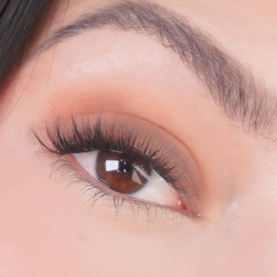 Oogschaduw Dark Roast - Mineralissima